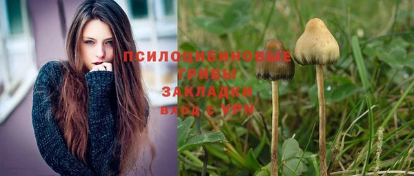 прущая мука Алексеевка